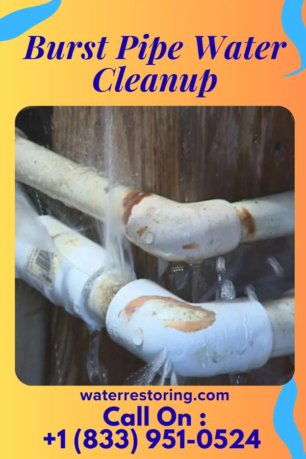 Burst Pipe Water Cleanup in Glenwood, IL