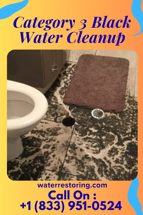 Category 3 Black Water Cleanup in Glenwood, IL
