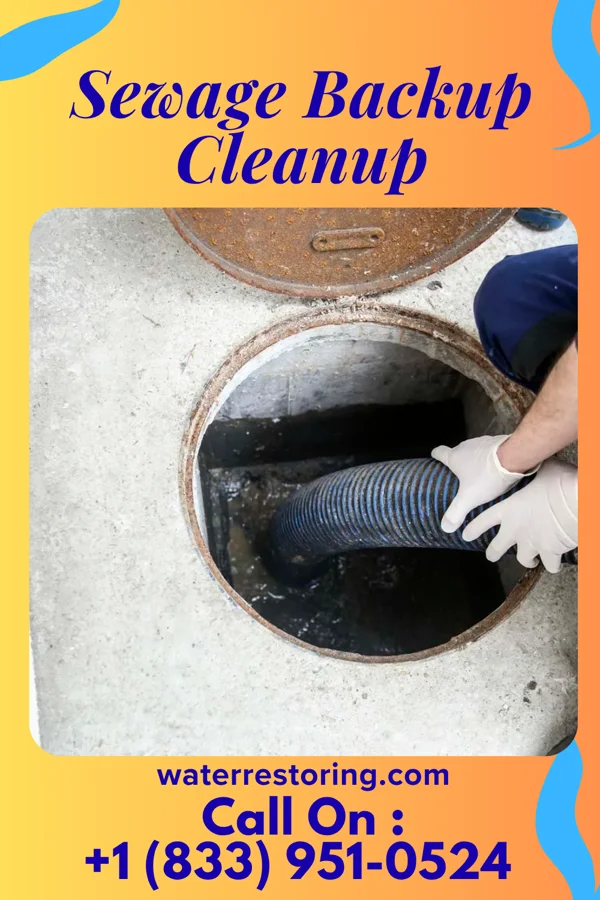 Sewage Backup Cleanup in Glenwood, IL