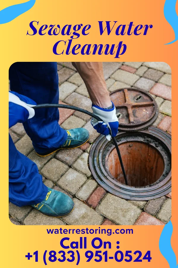 Sewage Water Cleanup in Glenwood, IL